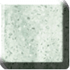 Arrowroot